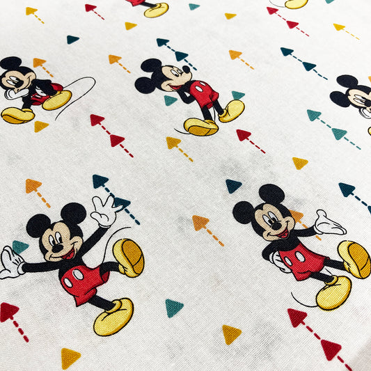 The Mickey & Minnie Collection
