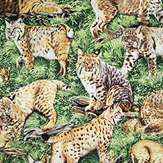 Bobcats Fabric