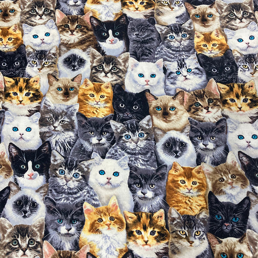 Mixed Cats Allover Print