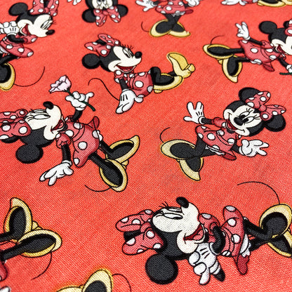 The Mickey & Minnie Collection