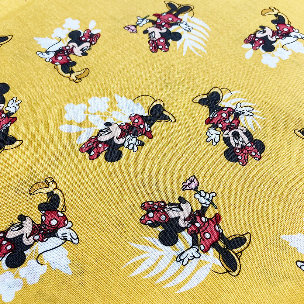 The Mickey & Minnie Collection